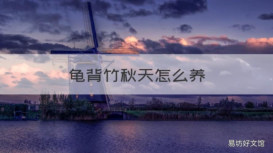 龜背竹秋天怎么養(yǎng) 龜背竹秋天養(yǎng)護