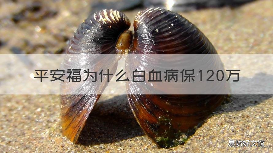 平安福为什么白血病保120万 平安福重疾50万保费需要多少