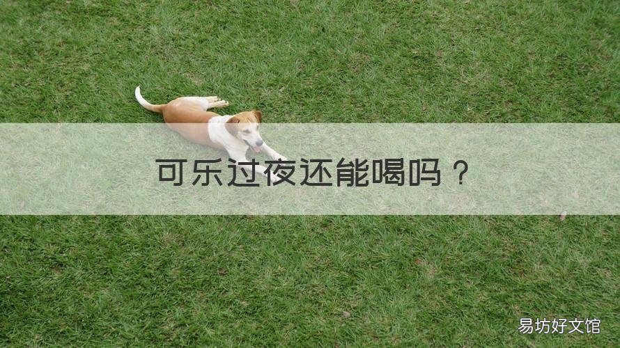 可乐过夜还能喝吗 可乐过夜还能喝吗有毒吗