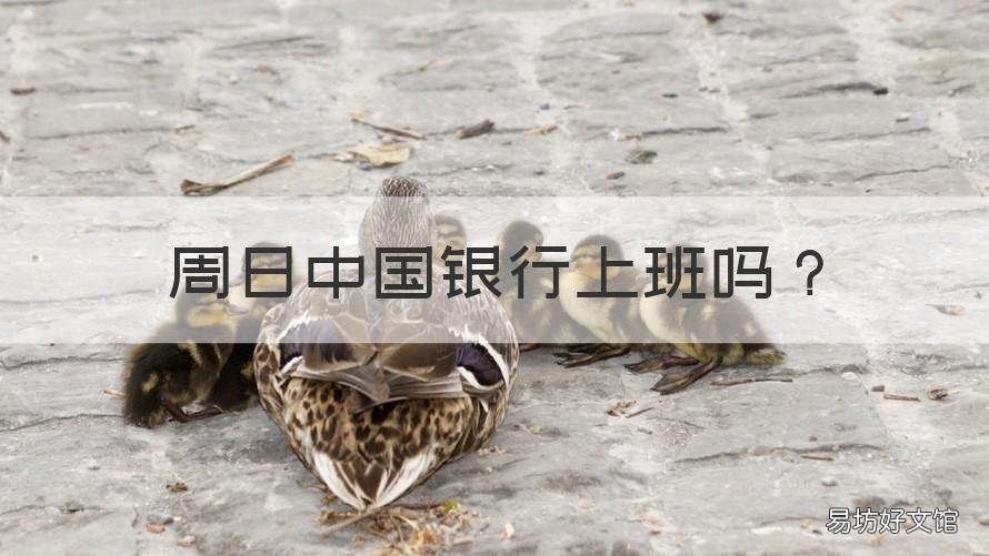 周日中国银行上班吗 周六周日中国银行上班吗
