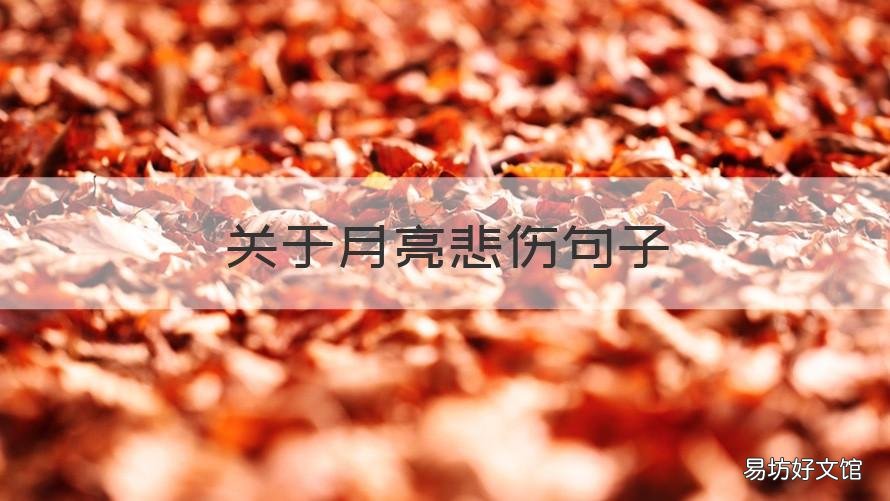 關(guān)于月亮悲傷句子 關(guān)于月亮凄涼的句子說說心情