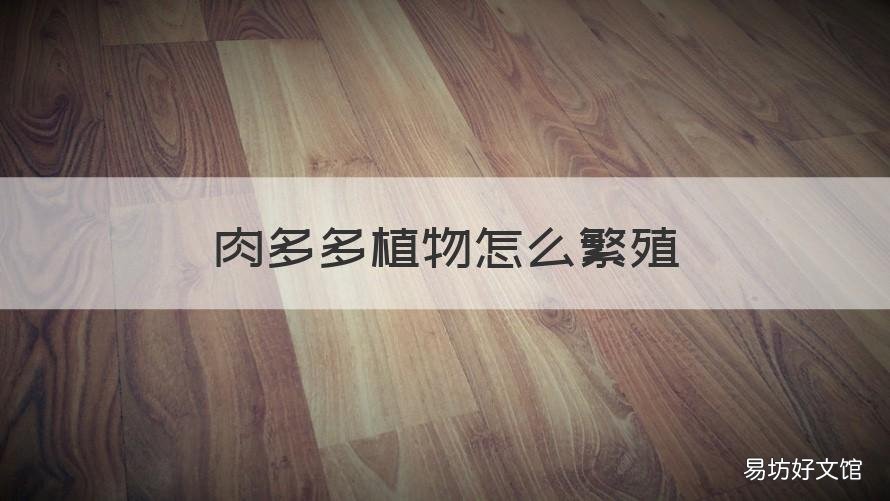 肉多多植物怎么繁殖 多肉怎么繁殖的