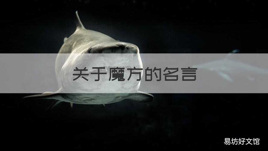 关于魔方的名言 魔方的句子赞美魔方的句子