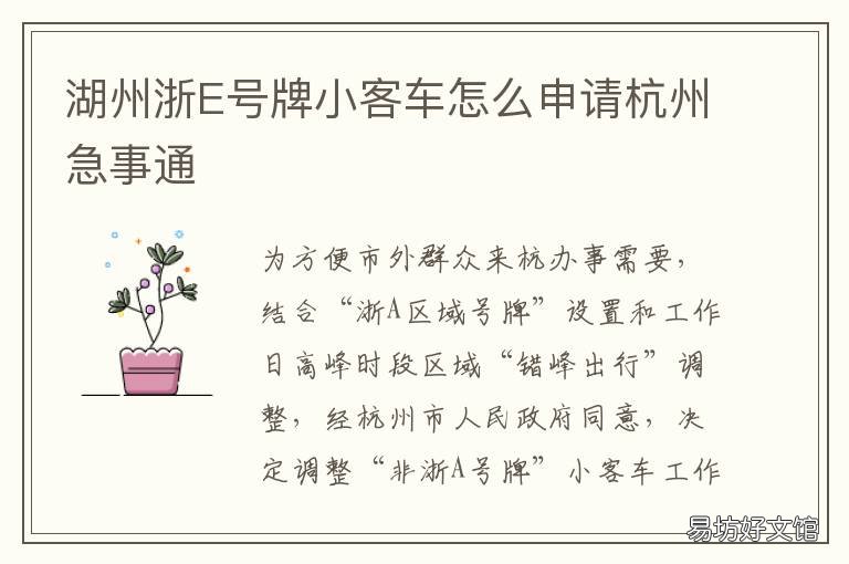 湖州浙E号牌小客车怎么申请杭州急事通 浙a小客车牌照指标申领