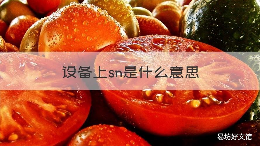 设备上sn是什么意思 设备号sn是什么意思啊