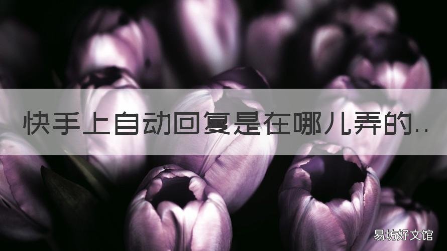 快手上自动回复是在哪儿弄的 快手上如何设置自动回复功能
