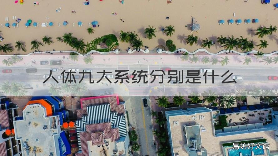 人体九大系统分别是什么