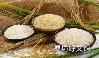 大米发饼的做法 大米饼的做法家常做法