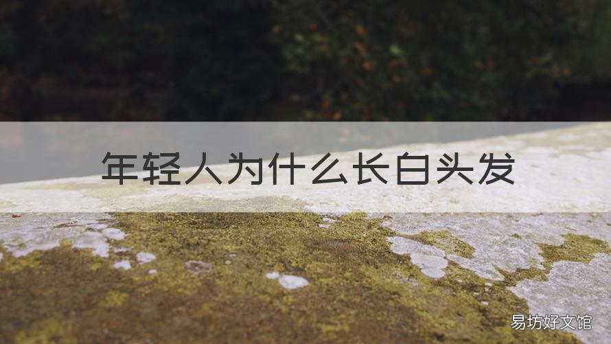 年轻人为什么长白头发 年轻人为什么长白头发的原因啊