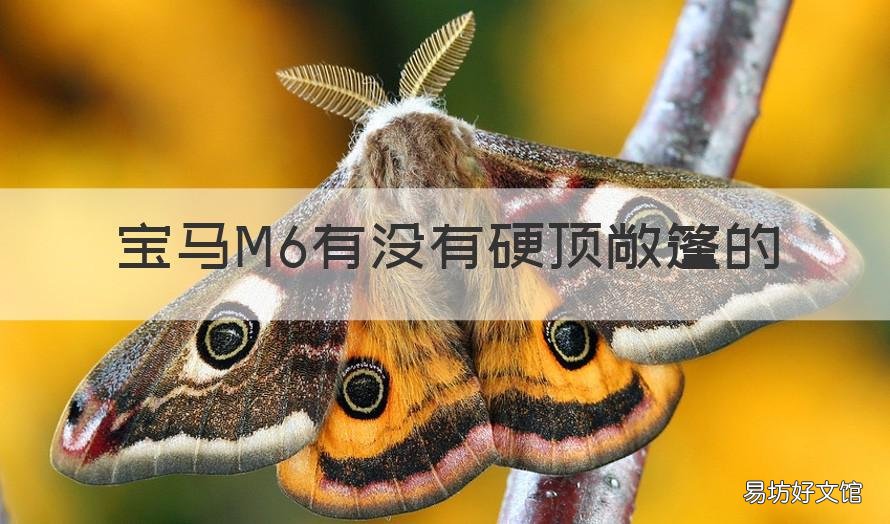 宝马M6有没有硬顶敞篷的 宝马m6双门轿跑车敞篷