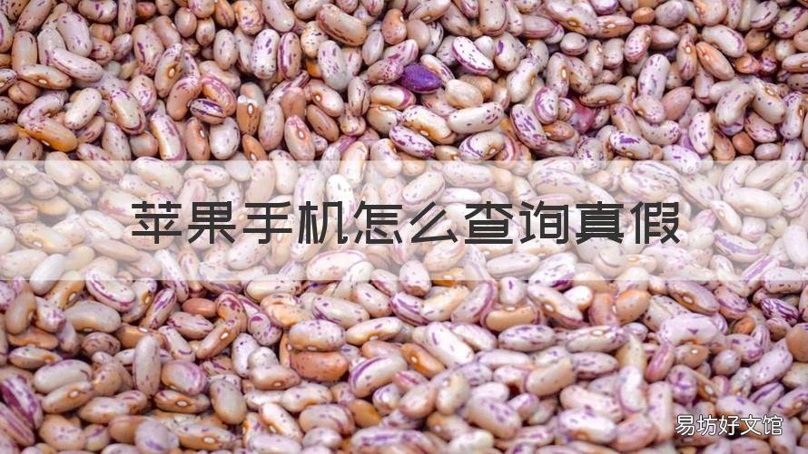 苹果手机怎么查询真假 苹果手机怎么查询真假卡槽