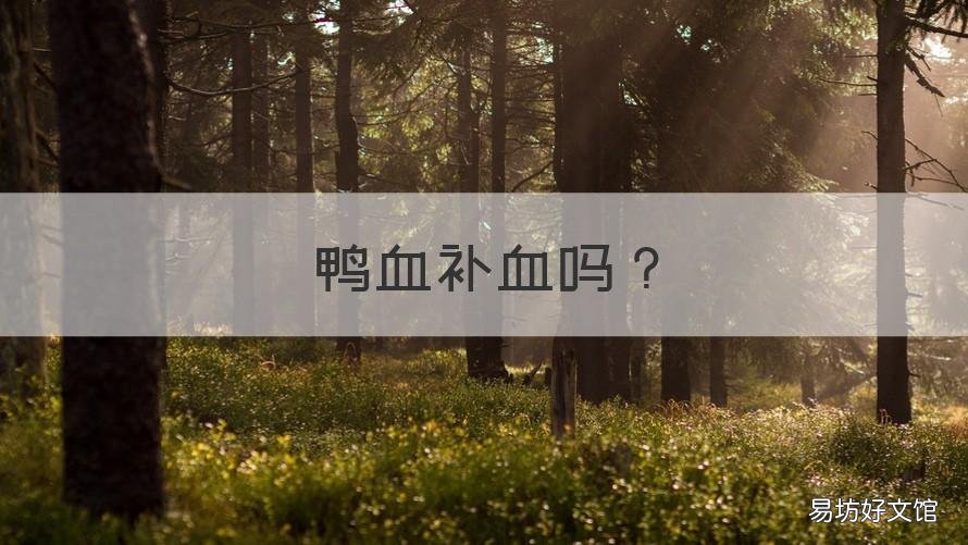 鸭血补血吗 鸭血可以补血么
