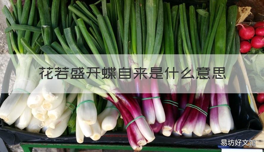花若盛开蝶自来是什么意思 若花开自有蝶来什么意思