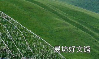 龙灯草原有多大 龙灯大草原在哪儿