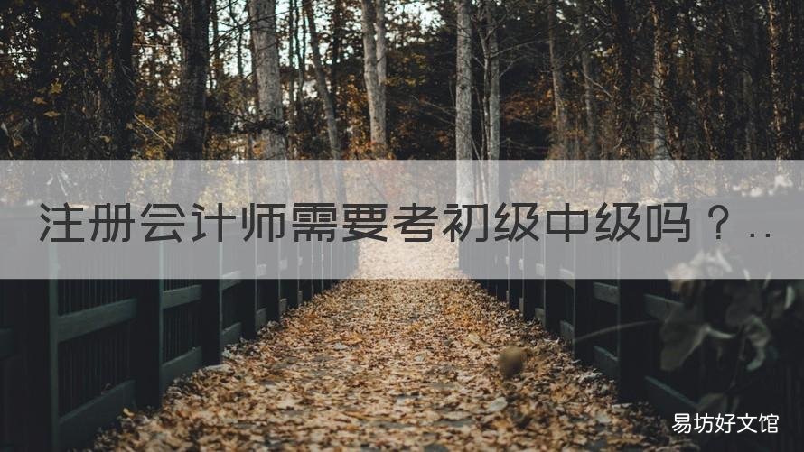 注冊(cè)會(huì)計(jì)師需要考初級(jí)中級(jí)嗎 中級(jí)會(huì)計(jì)師是不是必須有初級(jí)才能考