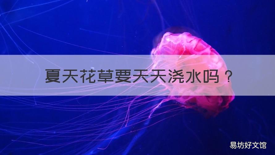 夏天花草要天天浇水吗 夏天草花养护浇水怎么浇