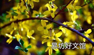 暖春电视剧大结局 暖春电视剧大结局成年小花扮演者