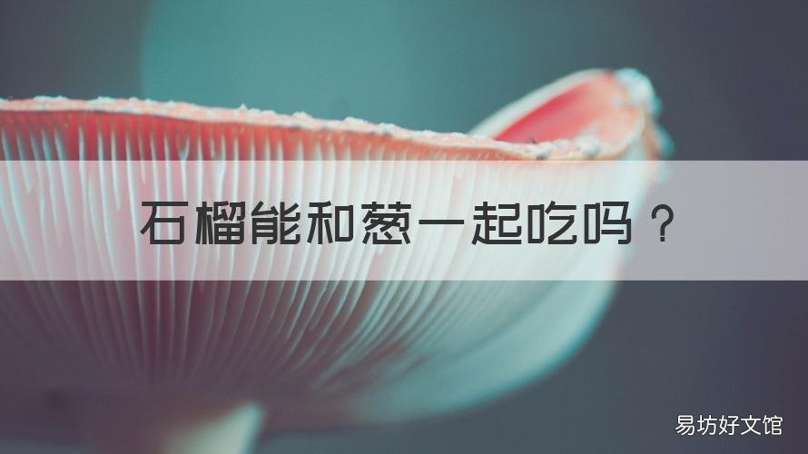 石榴能和葱一起吃吗 洋葱和番石榴一起吃吗