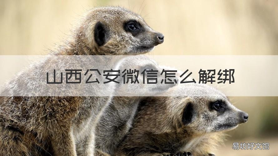山西公安微信怎么解绑 山西公安微信怎么解绑手机号