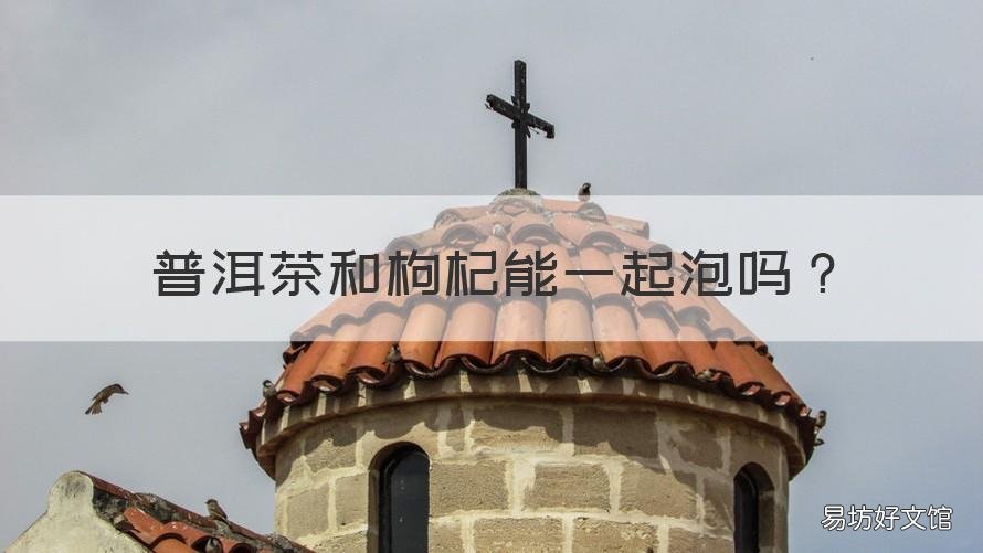 普洱茶和枸杞能一起泡吗 普洱茶能与枸杞一起泡吗