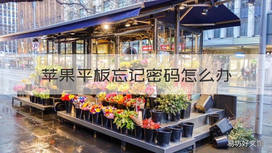苹果平板忘记密码怎么办 苹果平板忘记密码怎么办 百度网盘