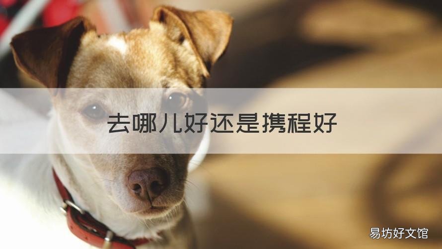 去哪儿好还是携程好 携程旅行好还是去哪儿旅行好