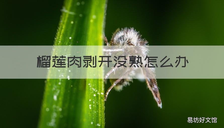 榴莲肉剥开没熟怎么办 榴莲肉剥了没熟怎么办