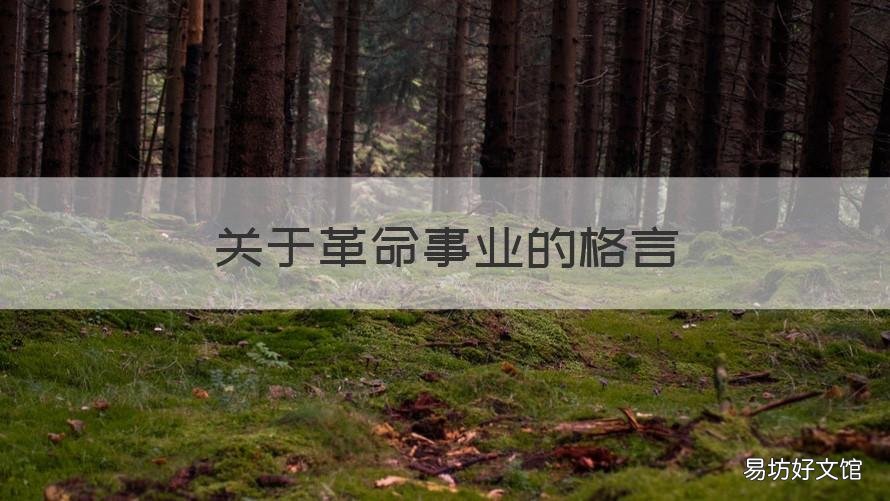 关于革命事业的格言 关于革命事业的格言警句
