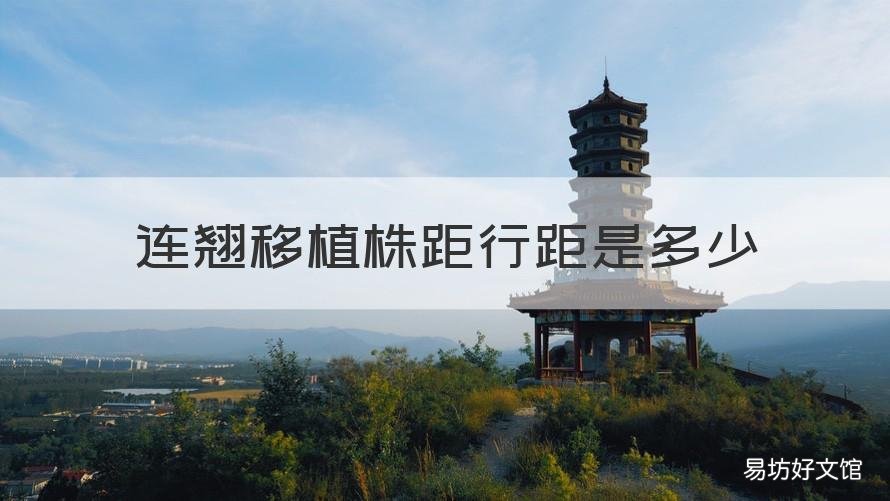 连翘移植株距行距是多少 栽连翘行距和柱距是多少