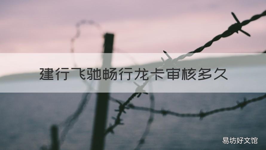 建行飞驰畅行龙卡审核多久 建行龙卡审批要多久