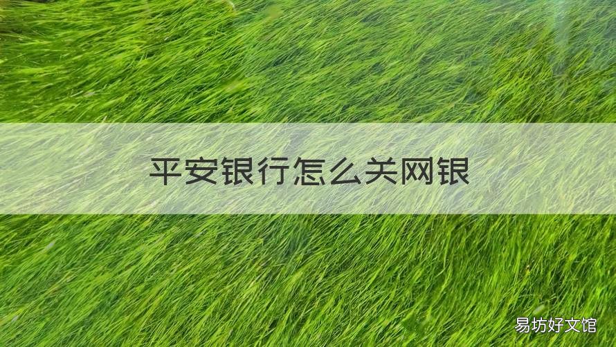 平安银行怎么关网银 平安银行怎么网银对账
