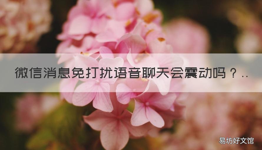 微信消息免打扰语音聊天会震动吗 消息免打扰以后语音电话会震动吗