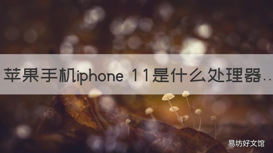 苹果手机iphone 11是什么处理器 IPHONE 11是什么处理器