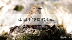 中国小吃有多少种 中国小吃都有哪些