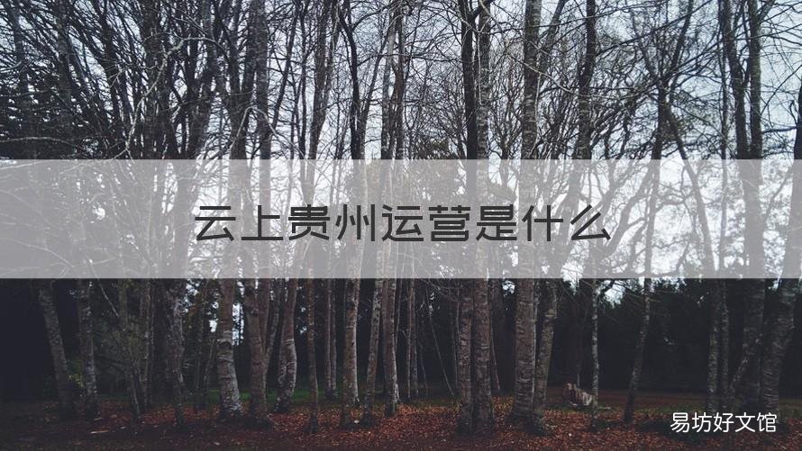云上贵州运营是什么 云上贵州平台是什么