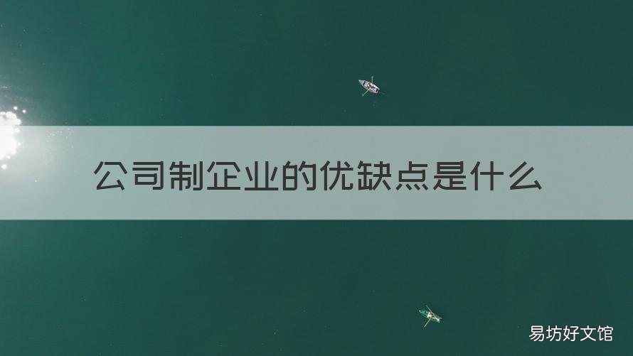 公司制企业的优缺点是什么 公司制企业优缺点和特点