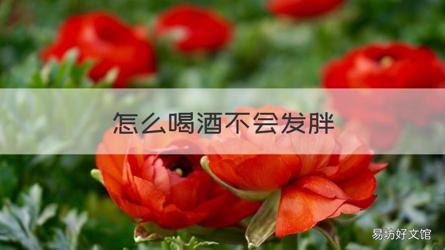 怎么喝酒不会发胖 怎么样喝酒不会胖