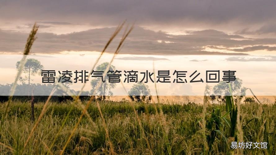 雷凌排气管滴水是怎么回事 雷凌车底滴水