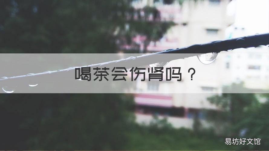 喝茶会伤肾吗 喝茶会伤肾吗?