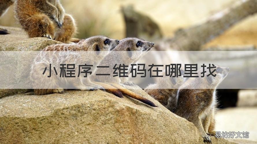 小程序二维码在哪里找 小程序二维码怎么找到