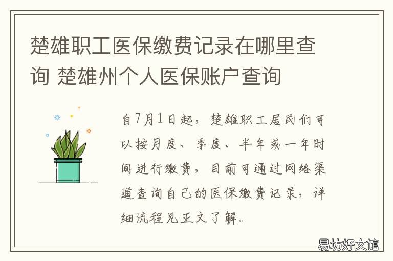 楚雄职工医保缴费记录在哪里查询 楚雄职工医保缴费记录在哪里查