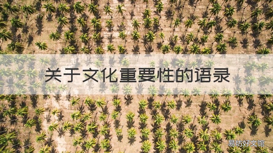 关于文化重要性的语录 强调文化重要性的句子