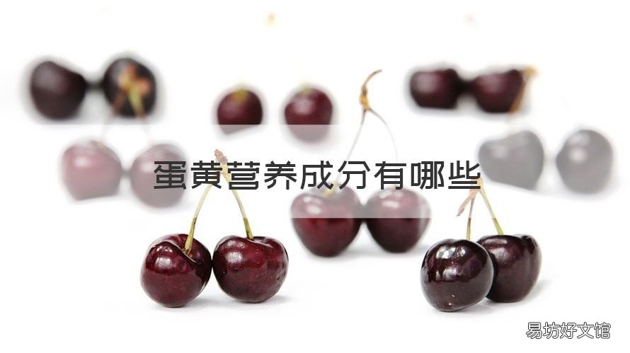 蛋黄营养成分有哪些 蛋黄营养成分有哪些食物