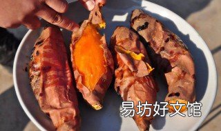烟薯25的储存方法 烟薯25家庭的保存方法