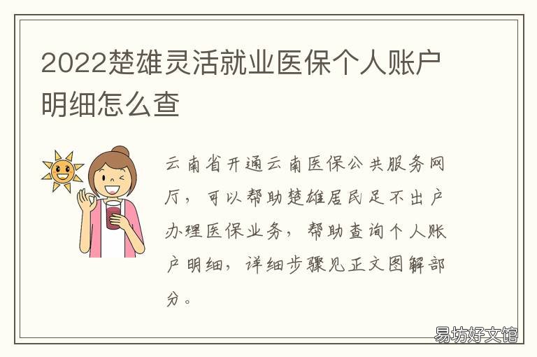 2022楚雄灵活就业医保个人账户明细怎么查 楚雄灵活就业人员养老保险政策