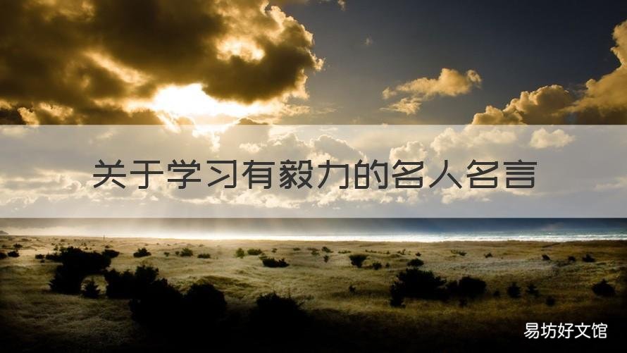 关于学习有毅力的名人名言 描写毅力的名人名言