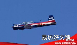 武汉军运会空军五项飞行比赛时间 武汉军运会空军五项飞行比赛结果