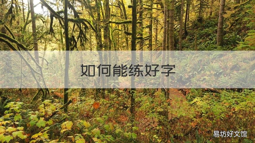 如何能练好字 如何练好字的结构