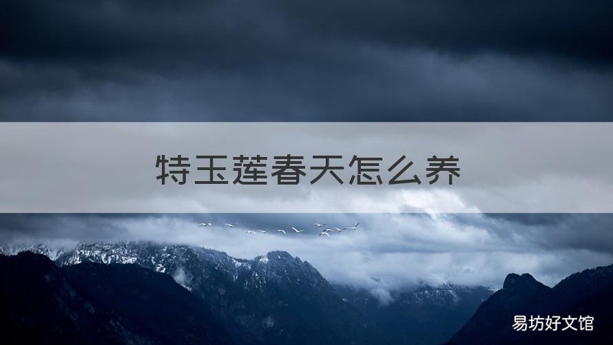 特玉莲春天怎么养 特玉莲用什么盆种好看