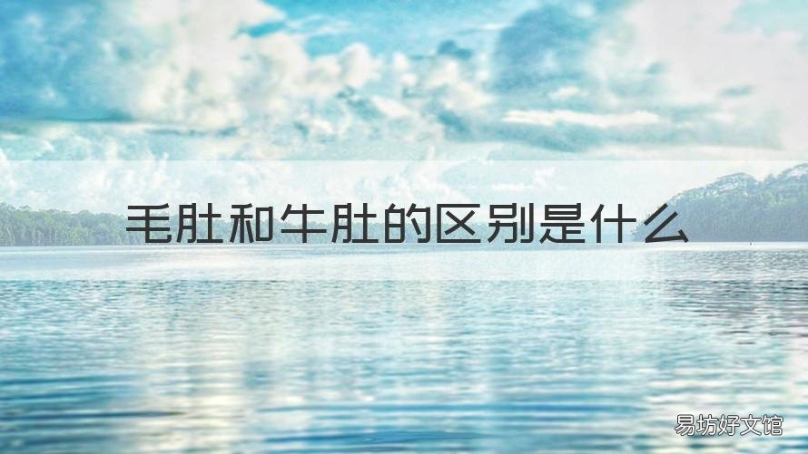 毛肚和牛肚的区别是什么 毛肚和牛肚有什么区别吗